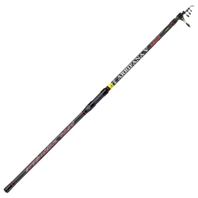 Barros Arrifana V 450