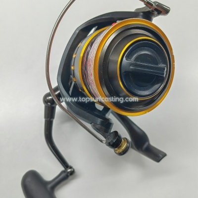 Daiwa BG 6500