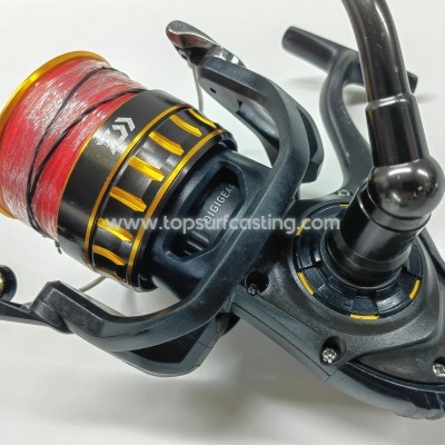 Daiwa BG 6500