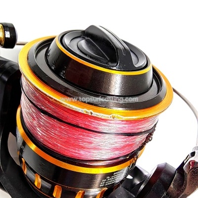 Daiwa BG 6500