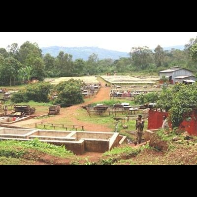 Ethiopia, Yirgacheffe Natural - 250g