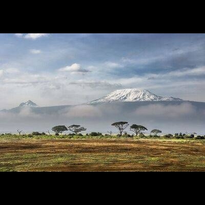 Kenia, Kibirigwi Farmers Cooperative Society - 250g