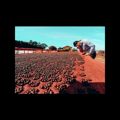 Brasil - Fazenda El Dorado, Alta Mogiana - 250g