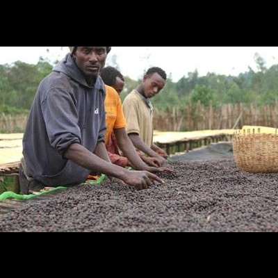 Ethiopia, Yirgacheffe Natural - 250g