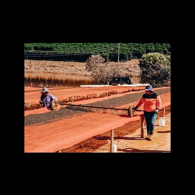 Brasil - Fazenda El Dorado, Alta Mogiana - 250g