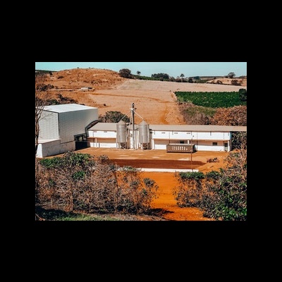 Brasil - Fazenda El Dorado, Alta Mogiana - 250g