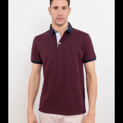 POLO 12220013