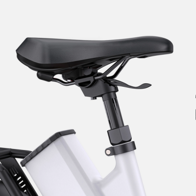 ENGWE  P275 ST  250 W.  260 km Autonomia . Ananda Torque Sensor.  Motor de accionamento intermediário.