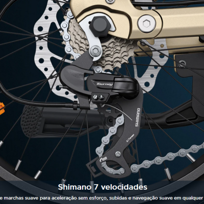 Engwe L20 3.0 Pro Motor central de 250 W e 100 Nm, suspensão total, bicicleta elétrica compacta.