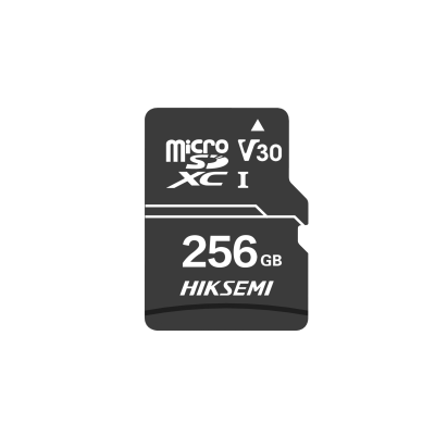 CARTÃO DE MEMÓRIA MICRO SD HIKSEMI NEO HOME HS-TF-D1 256G