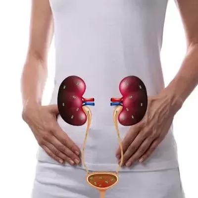 Sistema Urinário/ Saúde Íntima