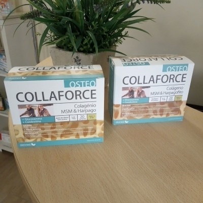 Dietmed Collaforce Osteo 2x20 Carteiras