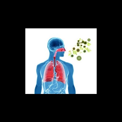 Sistema Respiratório