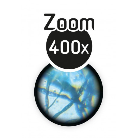Microscópio Zoom 400x Buki