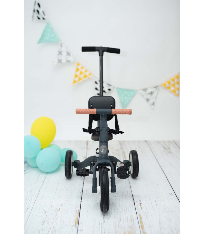 Gyro Triciclo Multifunções 1 a 5 anos cinzento Olmitos