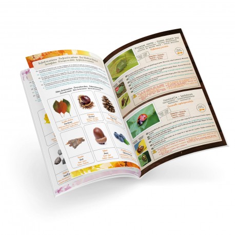 Terrário com lupa removível Buki