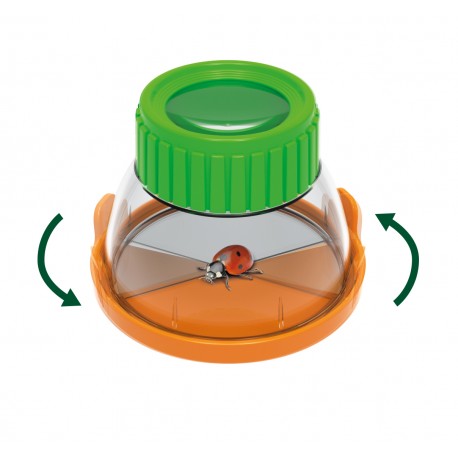 Terrário com lupa removível Buki