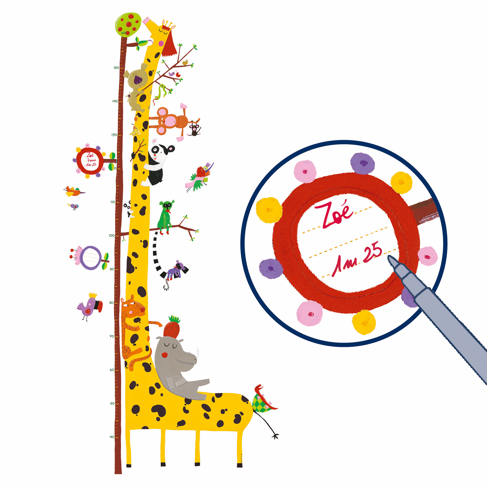 Tabela de Altura Adesiva Amigos da Amazónia