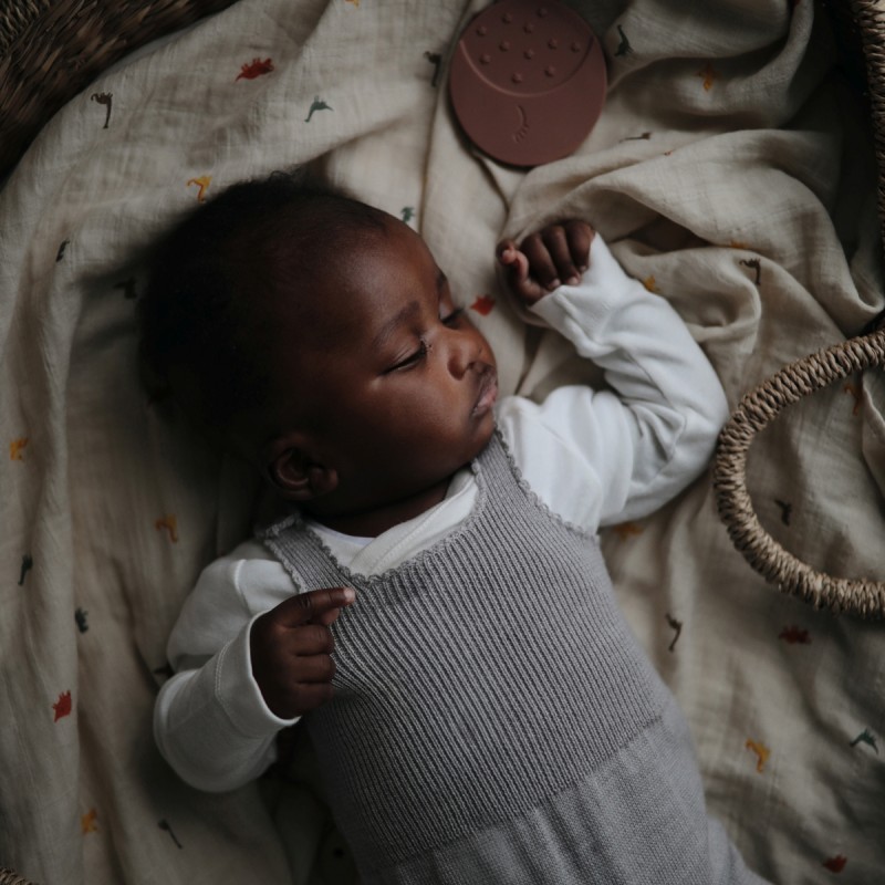 Musselina Print Dinosaurs 120x120 CM