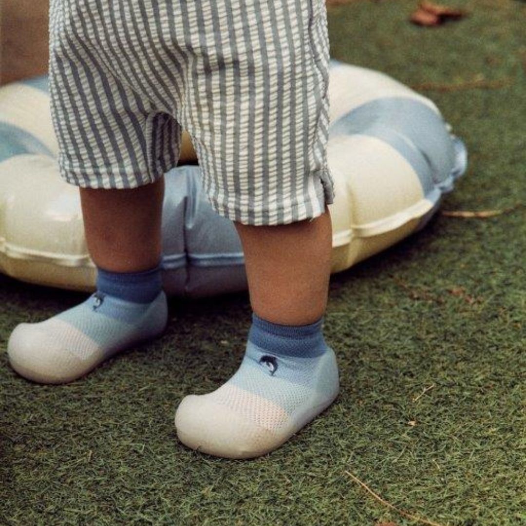 Attpas Aqua-X Dolphin