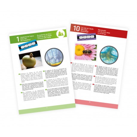 Microscópio Zoom 400x Buki