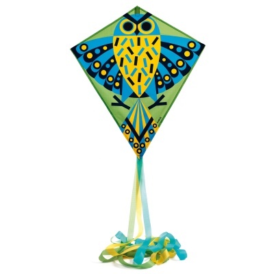 Hiboo - Papagaio com Desenho de Coruja