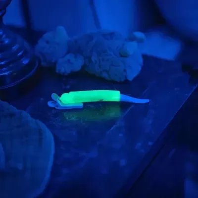 LATCHLIGHT Luz Presença Mãos-Livres