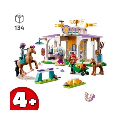 LEGO Friends Treino Equestre