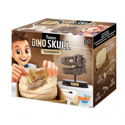 Buki Dinossauro cranio T-Rex Escavação Museu