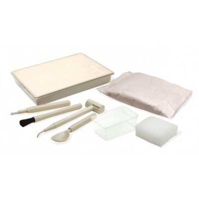Buki dinossauro fossil com gesso T-Rex
