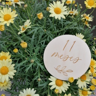 Milestones folha grande