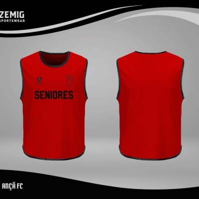 ZM-39003 - Colete Treino